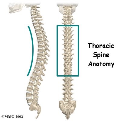 Swing Into Spring: Thoracic Mobility