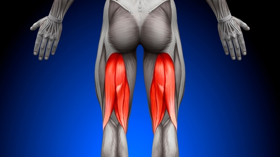 Hamstring Strains